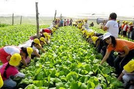 Tuyển 20 người làm trong ngành nông nghiệp | Ngày thi tuyển 15/11/2016